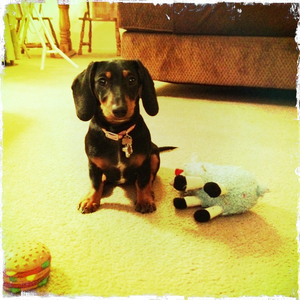 Hip 341371149.921720