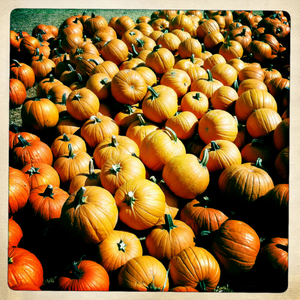 Hip 341354541.273358