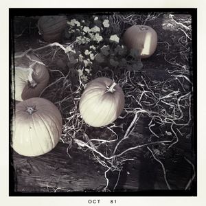 Hip 341369011.938643