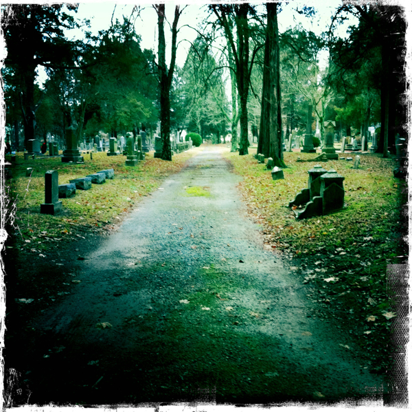 Hip 313877149.910821