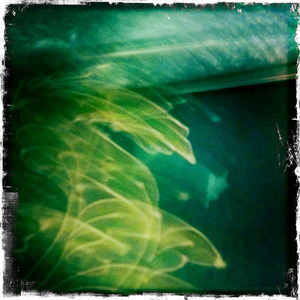 Hip 341374838.875020