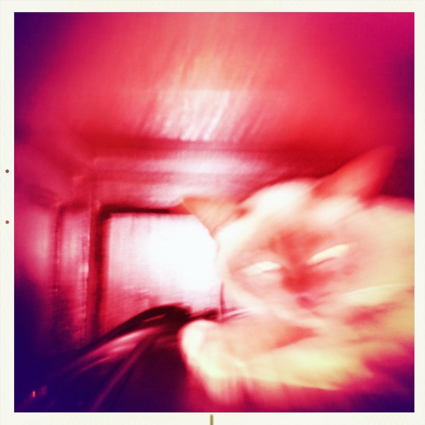 Hip 341389141.804121