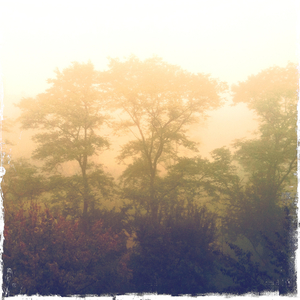 Hip 341390017.215614