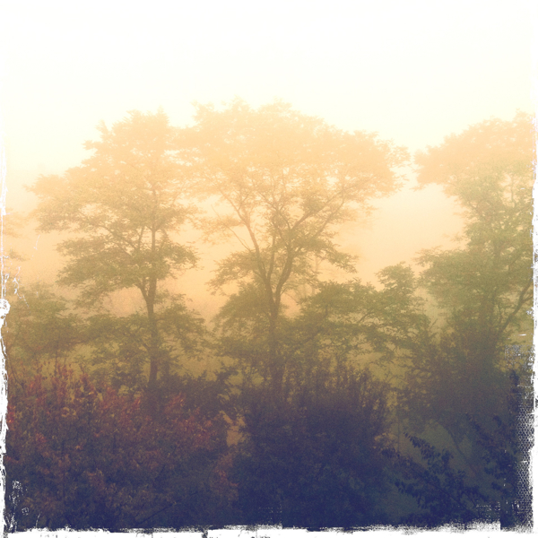 Hip 341390017.215614