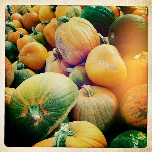 Hip 340753059.577523