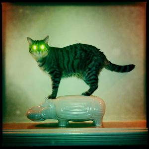 Hip 341396959.416329