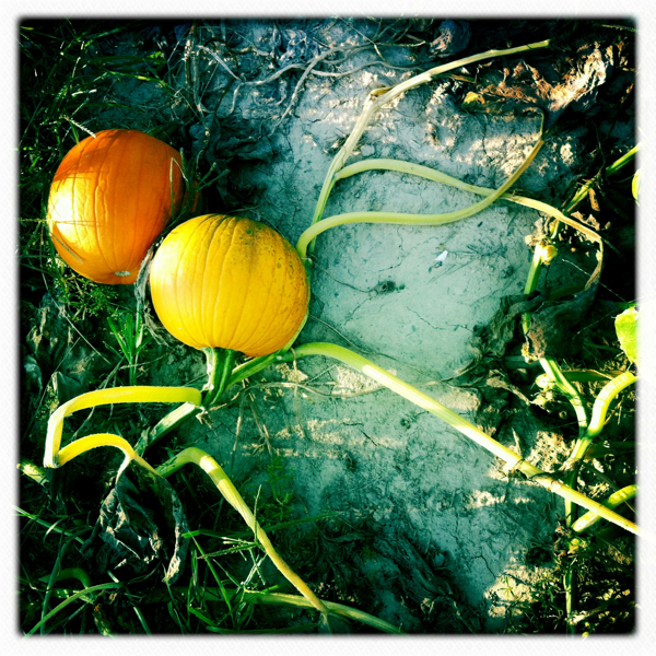 Hip 306969399.847723