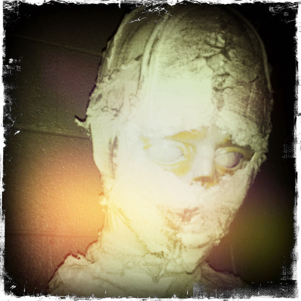 Hip 341035177.178605