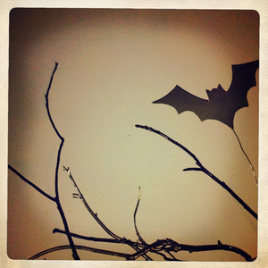 Hip 340692614.978669