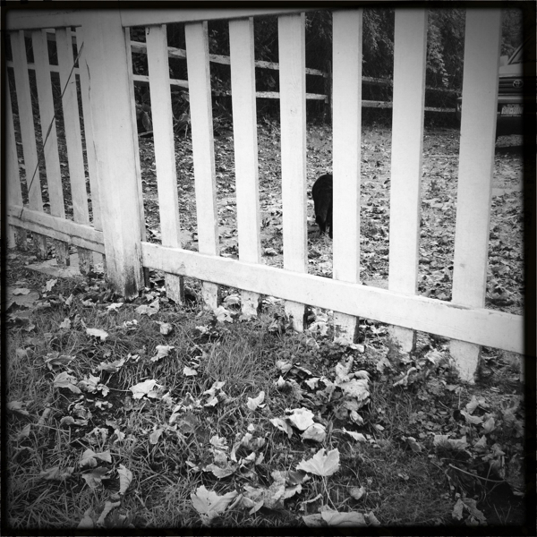 Hip 339108249.585466