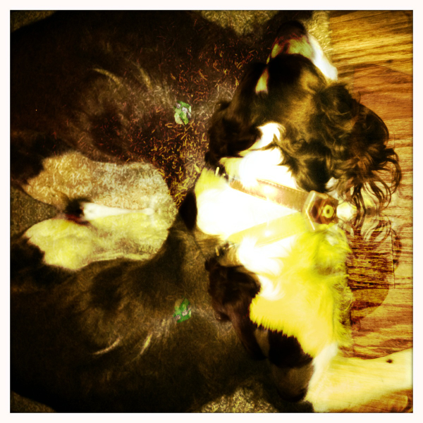 Hip 341385182.268310