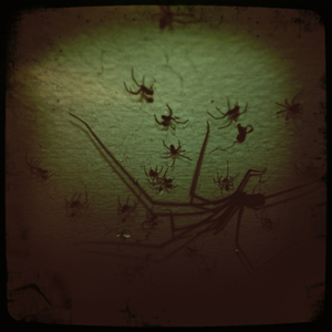 Hip 340919025.581469