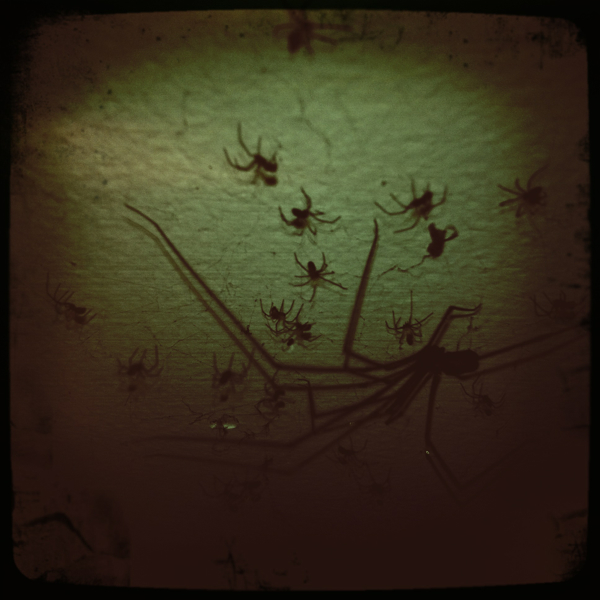 Hip 340919025.581469