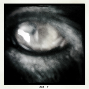 Hip 341054823.313132