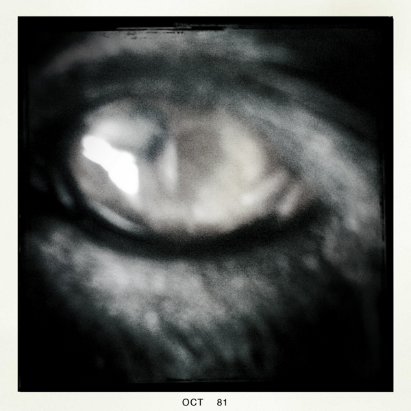 Hip 341054823.313132