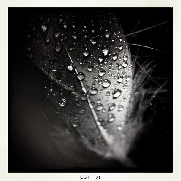 Hip 340133982.620750