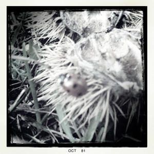 Hip 340131846.781701