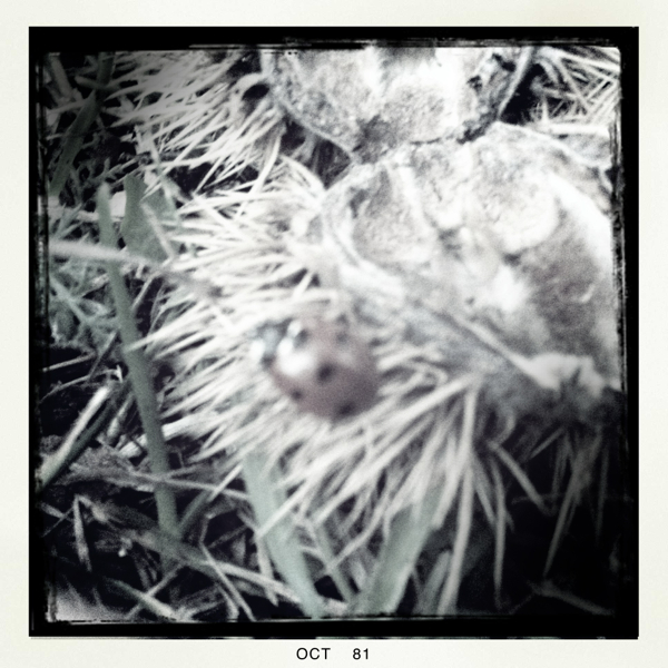 Hip 340131846.781701