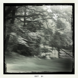 Hip 339245564.595514