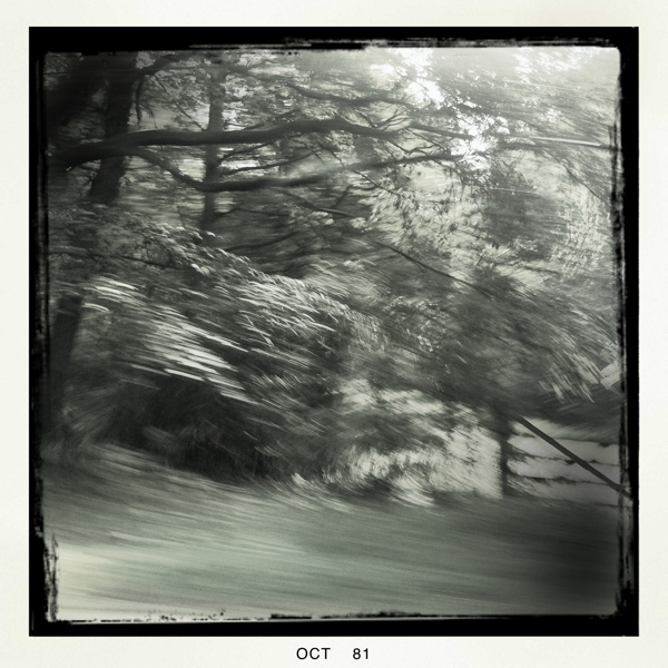 Hip 339245564.595514