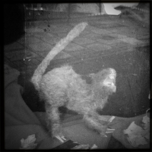 Hip 341426786.006606