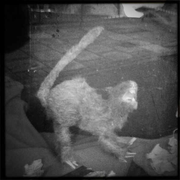 Hip 341426786.006606