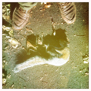 Hip 340296595.721642