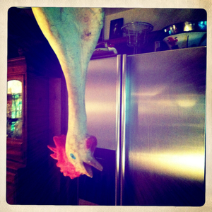 Hip 328916167.233000