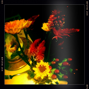 Hip 341351339.256159