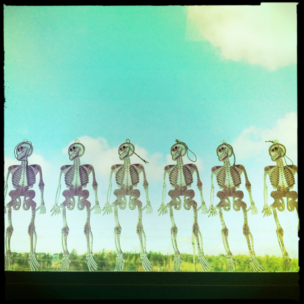 Hip 340992888.132871