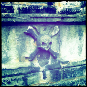 Hip 341244458.625311