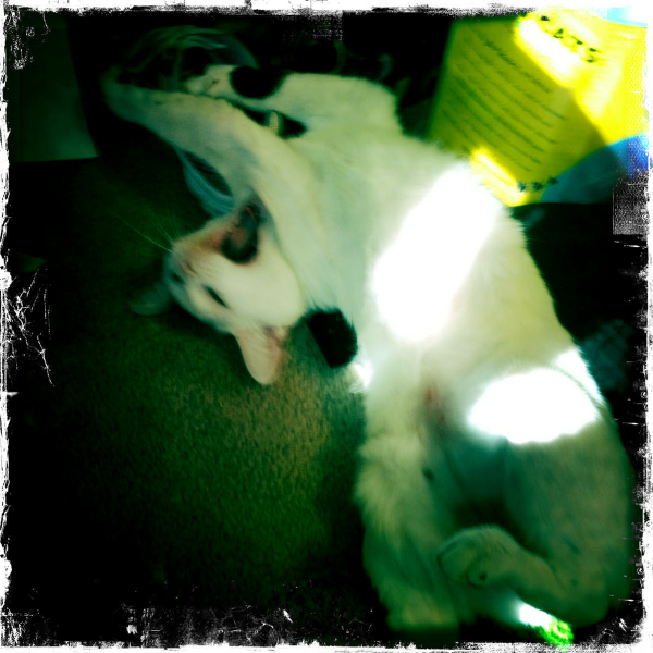 Hip 341431652.119095