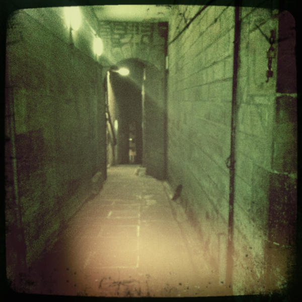 Hip 341269984.529203