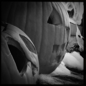 Hip 340475269.641798