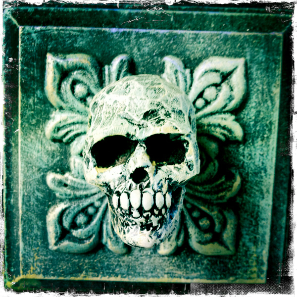 Hip 341428802.718030