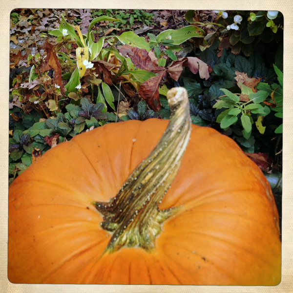 Hip 341436447.043807