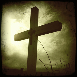 Hip 340837448.239189