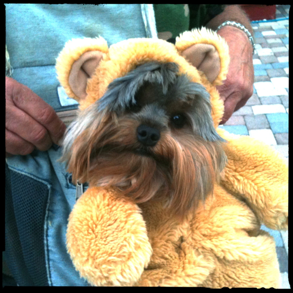 Hip 341362315.364969