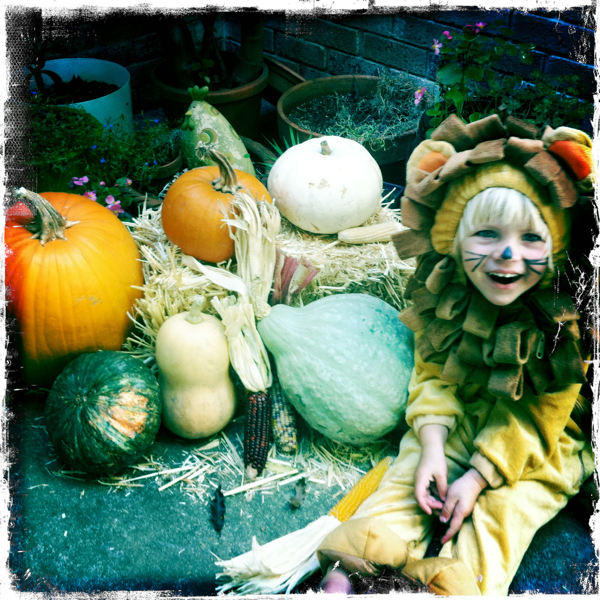 Hip 341436636.385139