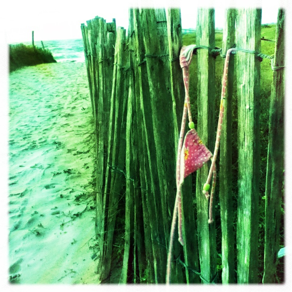 Hip 341426861.179744