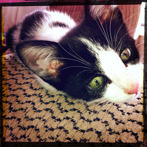 Hip 341440679.353622