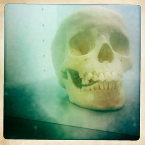 Hip 341428336.615870