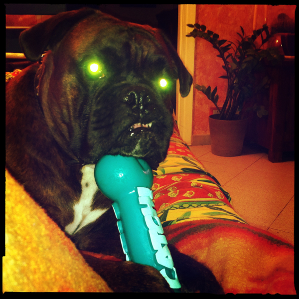 Hip 338670074.725768