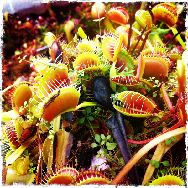 Hip 336751431.063592