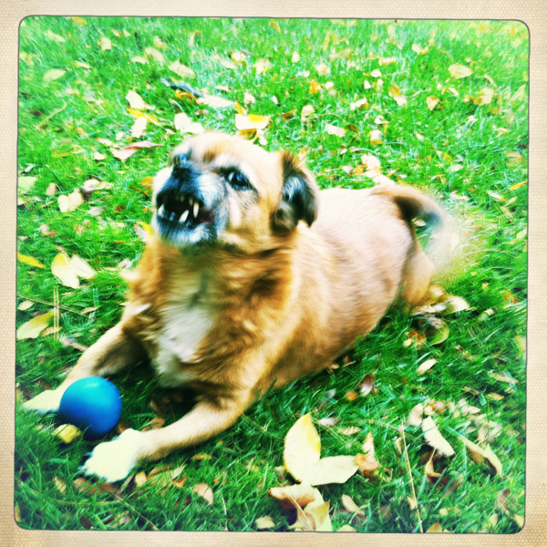 Hip 340989393.449079