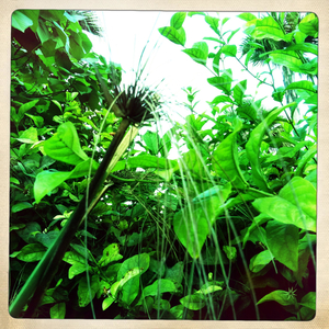 Hip 341386400.428435