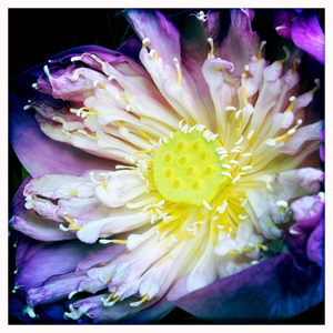 Hip 341385492.359478