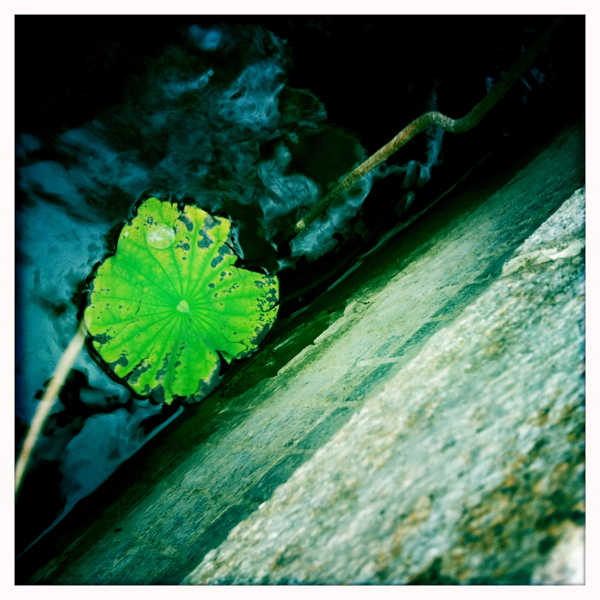 Hip 341384780.380732