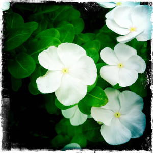 Hip 341384225.899772