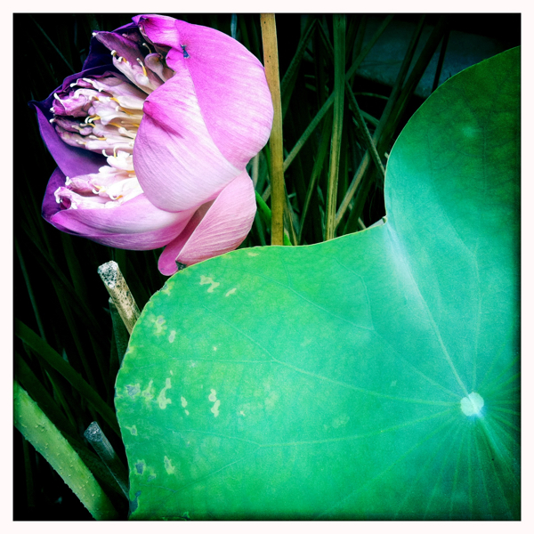 Hip 341385256.213450